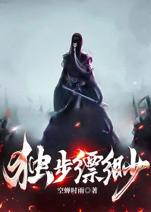独步缥缈小说封面