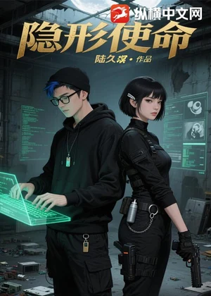 隐形使命小说封面