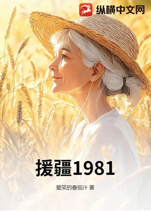 援疆1981小说封面