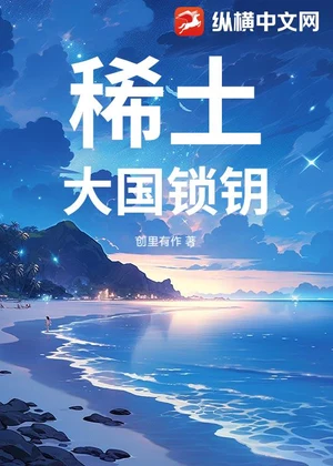 稀土：大国锁钥小说封面