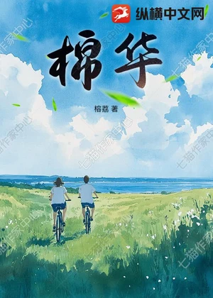 棉华小说封面