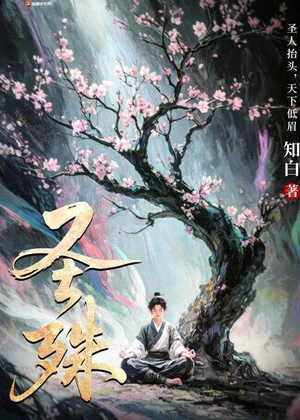 圣殊小说封面