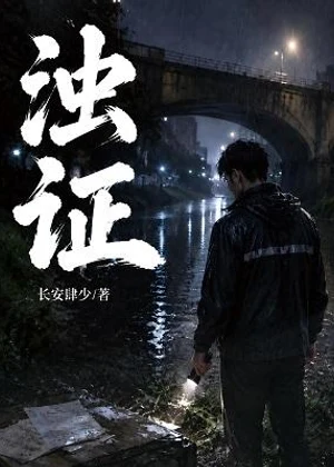 浊证小说封面