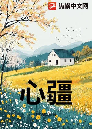 心疆小说封面