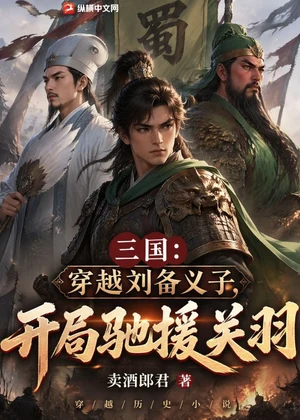 三国：穿越刘备义子，开局驰援关羽小说封面