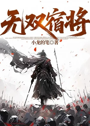 无双宿将小说封面