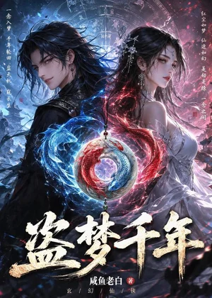 盗梦千年小说封面