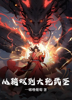 从骑奴到大乾武圣小说封面