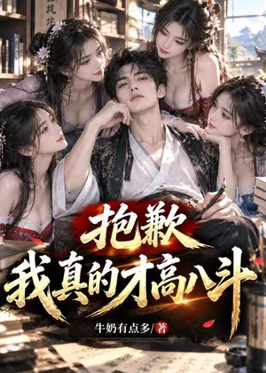 抱歉，我真的才高八斗小说封面