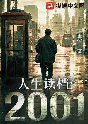 人生读档：2001小说封面