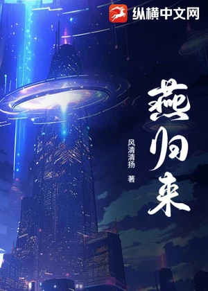 燕归来小说封面