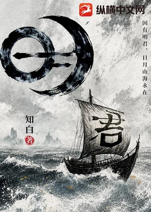明君小说封面