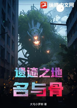 遗迹之地：名与骨小说封面