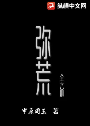 弥荒全六册小说封面