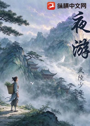 夜游小说封面