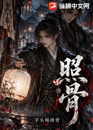 照骨小说封面