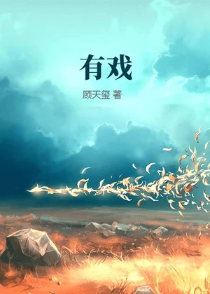 有戏小说封面