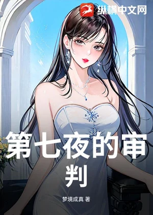 第七夜的审判小说封面