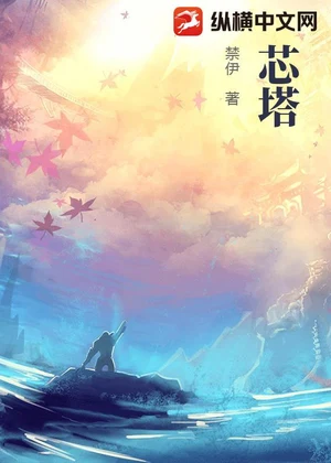 芯塔小说封面
