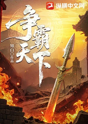 争霸天下小说封面
