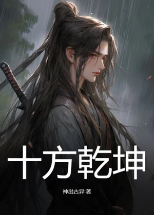 十方乾坤小说封面