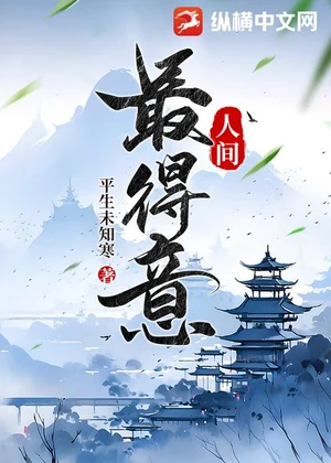 人间最得意小说封面