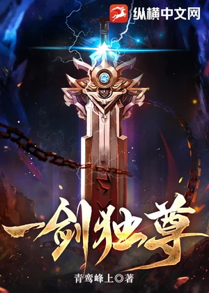 一剑独尊小说封面