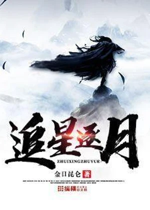 追星逐月小说封面