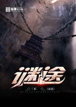 谜途小说封面